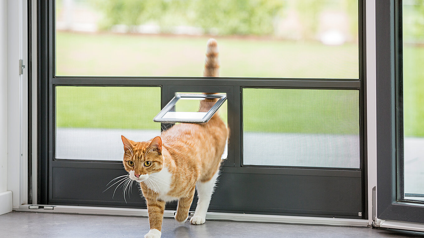 Moustiquaires - Exemple de réalisation. - LAFORGE de l'habitat Liège
